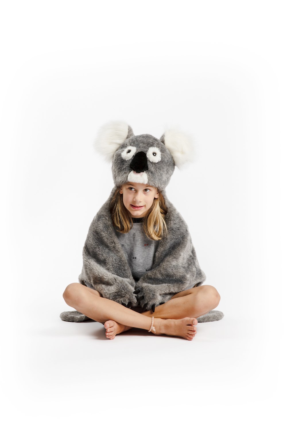 WS-1019-Koala1.jpg